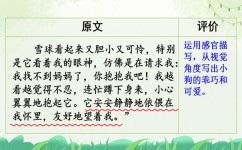 如何写观察作文(绝妙技巧！观察作文高招)