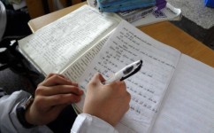 小学如何修改作文(家长必读作文素材)