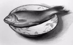 素描学习方法有哪些(素描零基础教程)