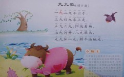 常用的学习方法主要有哪些(用五感法学会写作方法)