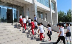 实验学生学习方法有哪些(中考实验的满分技巧)