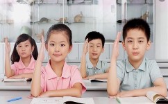 聪明的学习方法有哪些(作文高分秘诀)