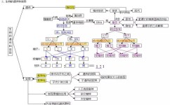 高中生物的知识盲区是什么(高考生物学习技巧)