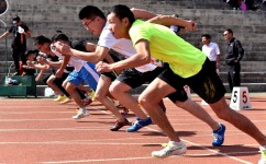 学生体育学习方法有哪些(快速入门体育的学习内容)