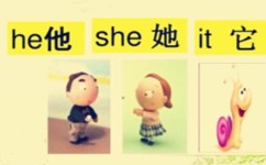 小学英语复数是什么(英语四年级名词单数变复数规则变化及发音规律)