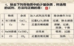 初中化学除杂怎么用(初中化学中常用的除杂方法)