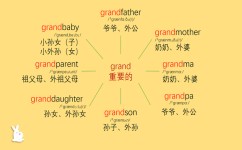 小学生学英语先学习什么(小学生学习英语的建议)