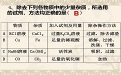 初中化学除杂怎么用(除杂问题注意原则)