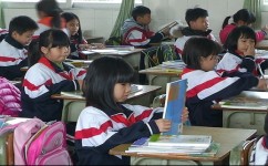 作文素材该怎么收集(小学作文写作技巧)