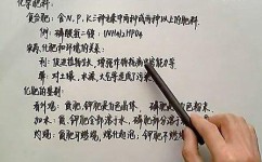 磷肥有哪些学习方法初中(初中化学磷肥的知识)