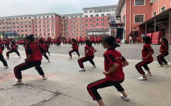 体育学习方法有哪些(体育的学习方法分享)