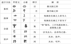 甲骨文有哪些学习方法(学习甲骨文的方法)