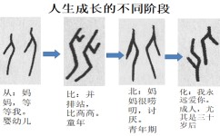 汉字的造字学习方法有哪些(学习汉字造字学的方法)