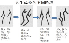 甲骨文的学习方法有哪些(学习甲骨文的方法)