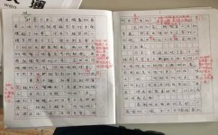 作文修改如何入手(修改作文可以入手的方面)