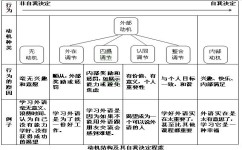 学习方法包含哪些因素(想要成绩好一是靠天赋二是靠方法)