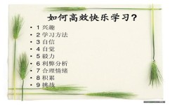 快乐学习方法有哪些(快乐学习方法分享)