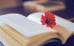 如何学习选词填空的答题技巧(学习选词填空的答题技巧)