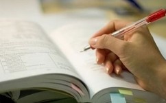 英语小学学习方法有哪些(正确的英语学习方法)
