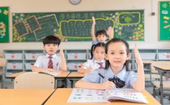 如何学习番茄钟学习法(学习番茄钟学习法的步骤)