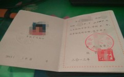 初中毕业学可以做什么(初中毕业常见的选择)