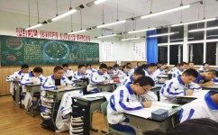 初中生能考什么证书(初中生可以考取的证书)