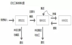 清华学霸学习方法有哪些(物理开窍逆袭只用四句话)