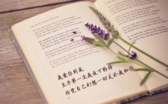 如何指导学生写英语作文(写出高分作文的三点建议)