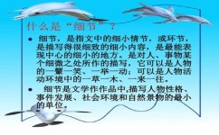 初中语文作文怎么样写(写初中语文作文的步骤)