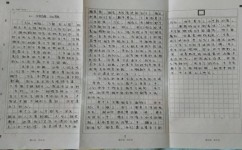 语文作业怎么写(写语文作业的步骤)