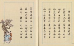 什么是汉学(汉学的学习方法)