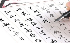 学练字需要做什么(学习练字需要做的努力)
