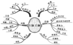 科学的学习方法都有哪些(四招教你速成学霸)