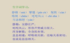 生字词的学习方法有哪些(高效预习语文的四步方法)