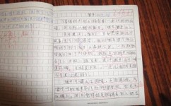 作文如何练笔(练习作文的方法和建议)
