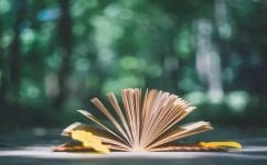 作文怎么写才能拿高分(拿高分作文的技巧) 作文怎么写才能拿高分(拿高分作文的技巧)