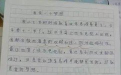 如何实现梦想的作文(写作文的技巧)
