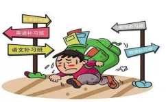小学阶段如何学(小学学习的建议)
