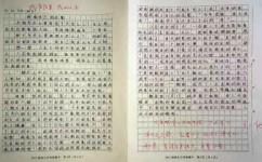 作文的主题怎么编写(编写作文主题的方法)