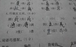 语文怎么复习重点(复习语文重点的方法)