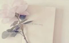 作文如何赏析(赏析作文的方法) 作文如何赏析(赏析作文的方法)