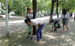 如何改善环境(改善环境的建议)
