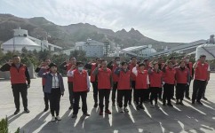 如何打好语文基础知识(打好语文基础知识的建议)