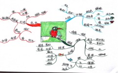 怎么培养英语语感(培养英语语感的方法)