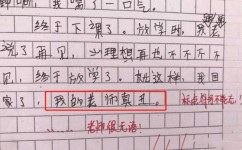 语文习作怎么写(写语文习作的步骤)