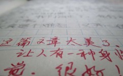 假期怎么练作文(假期练作文的建议)