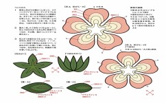 立体图形有哪些学习方法(学习立体图形的方法)