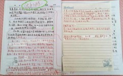 修改符号的用法有哪些(常见的修改符号的用法)