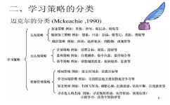 学习策略有哪些(常见的学习策略)