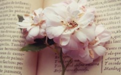 高考必备英语作文万能句型怎么学(有效地学习和运用这些句型)